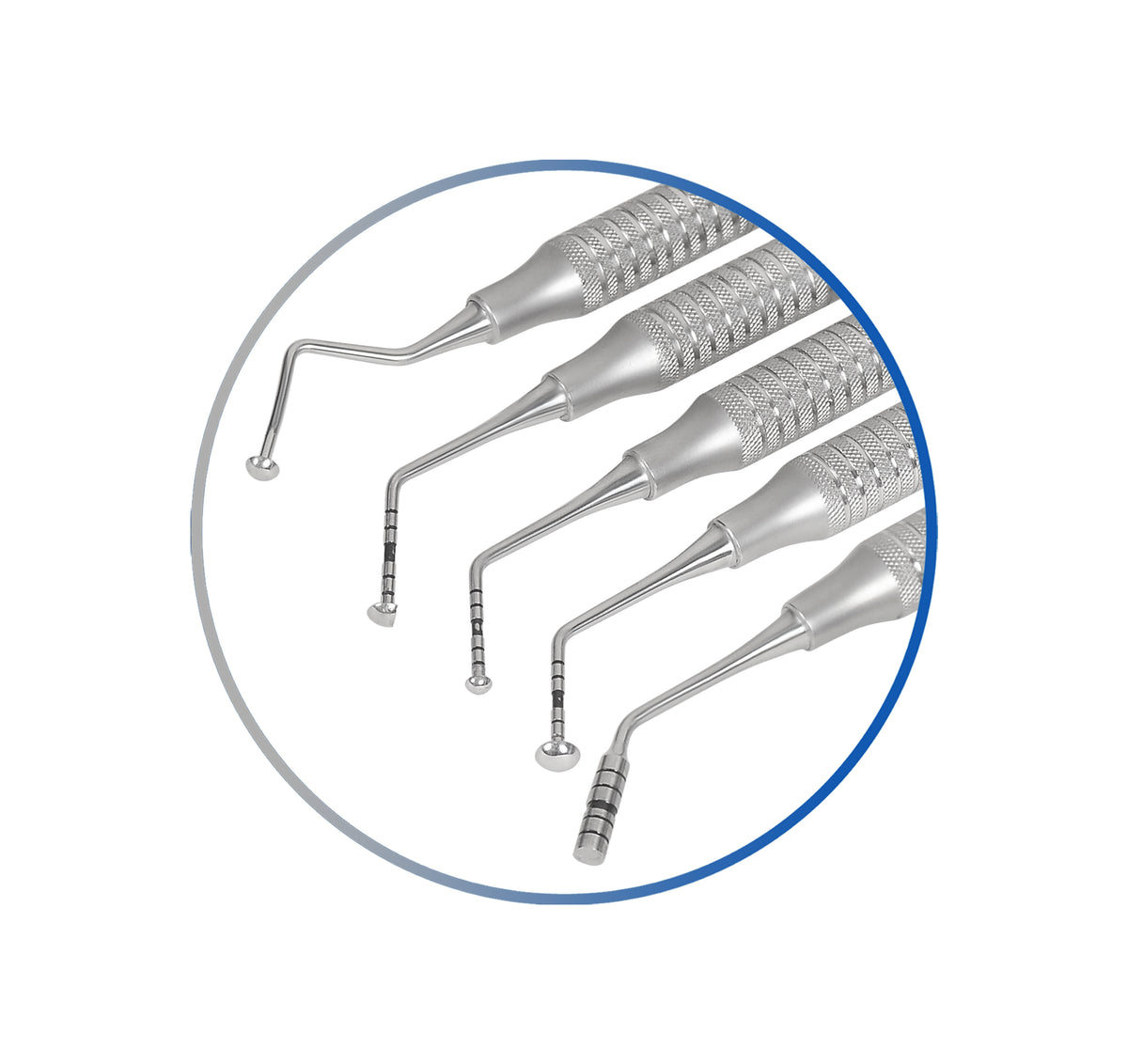 Sinus Lift Mushroom Set of 5