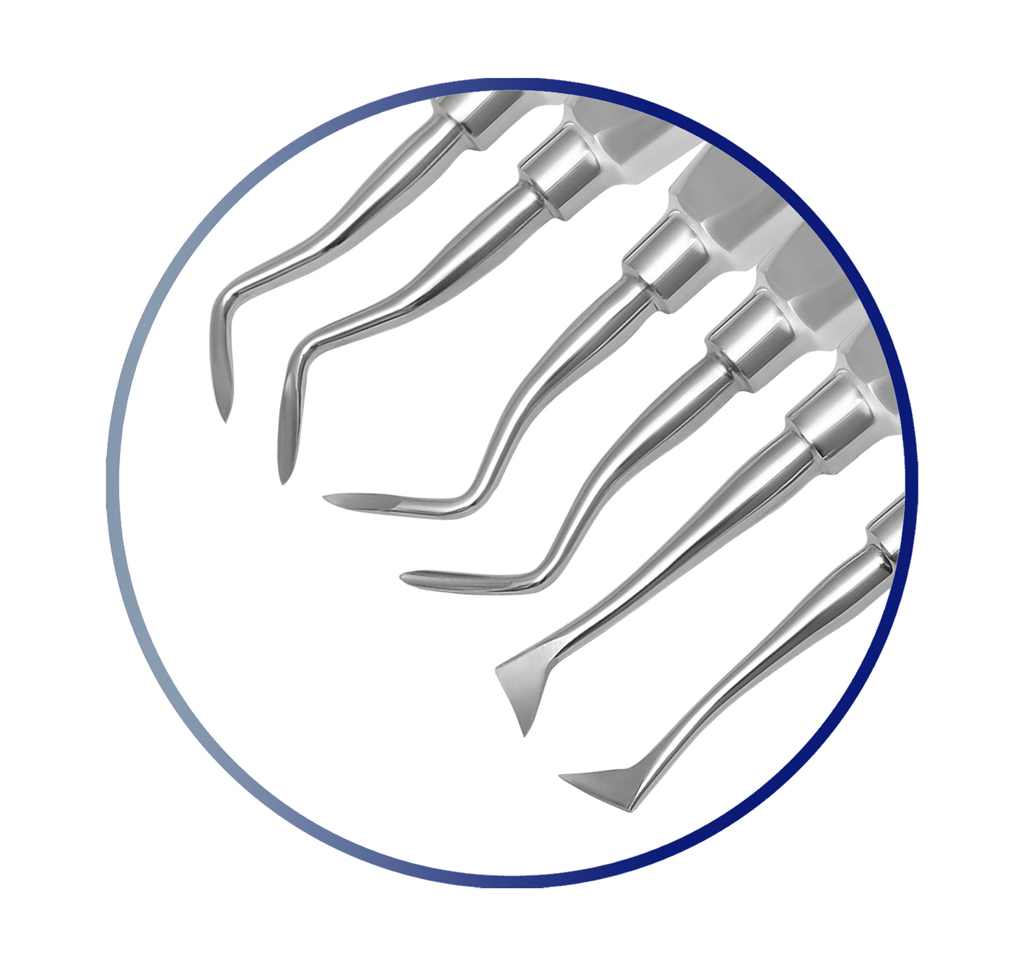 German HQ Dental Elevators Set Of 11 PCS Oral Surgery Elevators