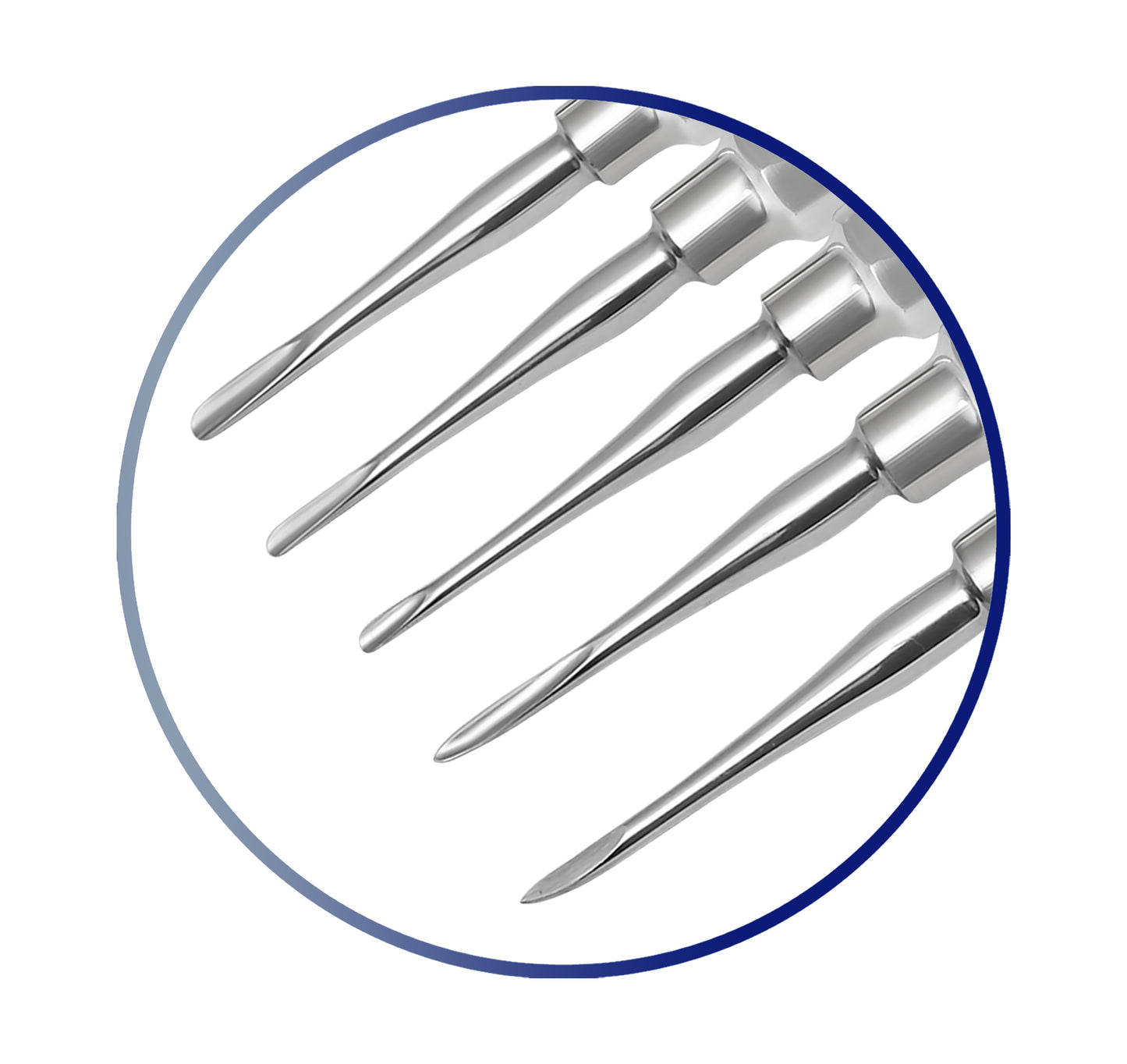 German HQ Dental Elevators Set Of 11 PCS Oral Surgery Elevators