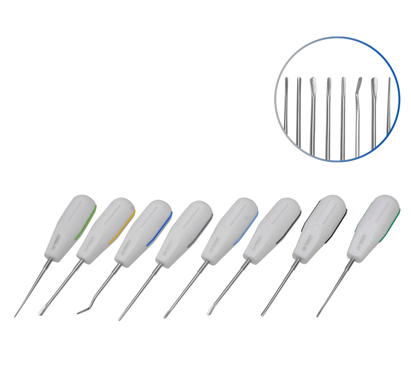 Dental Surgical Luxating Elevators Root Extraction Surgical Elevators